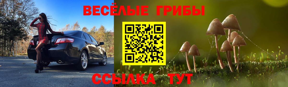 Псилоцибиновые грибы Psilocybine cubensis Оренбург